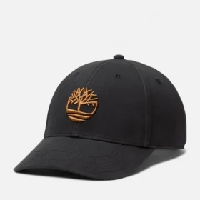 3D Embroidered Baseball Cap