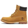 6 Inch Waterville Double Collar “Wheat”