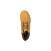 6 Inch Waterville Double Collar “Wheat”