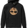 Golden Logo Hoodie “Black”