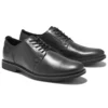 Lafayette Park “Black”