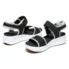 Los Angeles Wind “Black White”