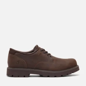 Men’s Britton Road Waterproof Shoe
