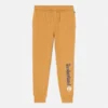 Men’s Linear Logo Sweatpants – Wheat Boot