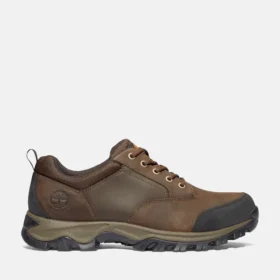 Men’s Mt. Maddsen Waterproof Low Hiker Boots – Brown