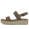 Safari Dawn “Grey Brown”